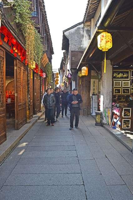 红色鹦鹉逃脱